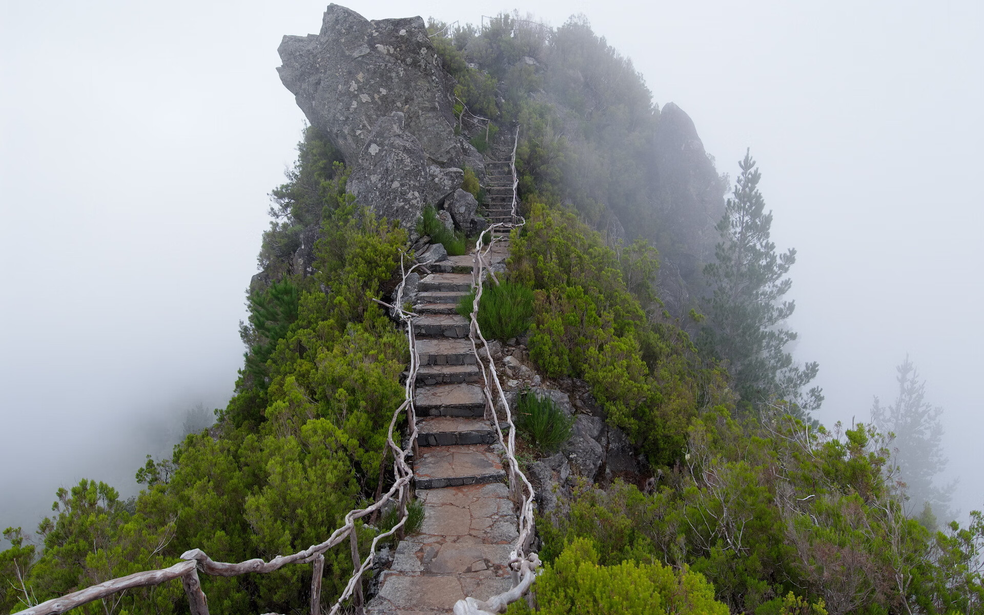 皇马遭遇三连败，积分榜排名继续下滑，皇马连胜纪录