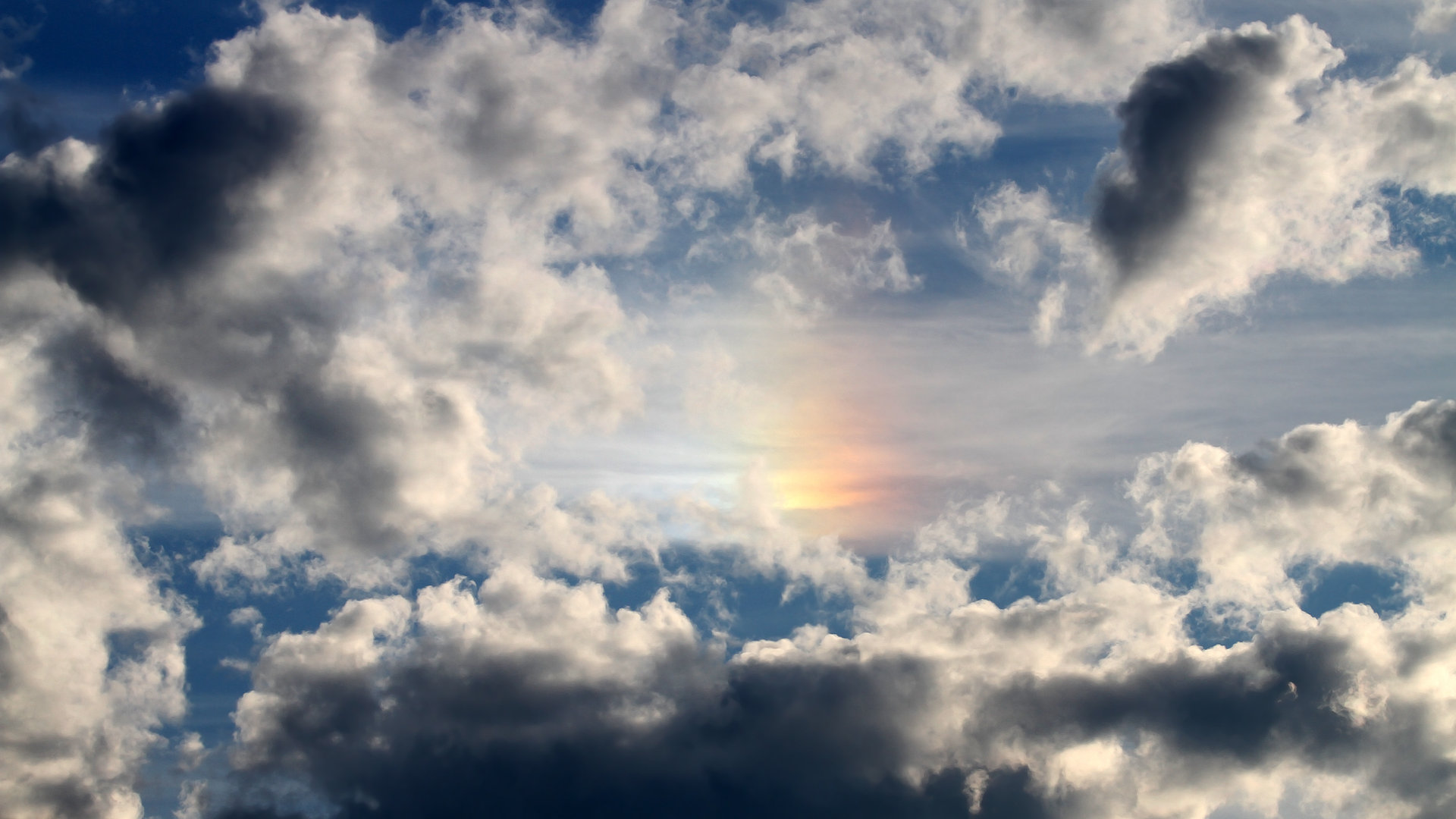 张雨霏展示赛前热身动作被点赞，张雨霏参赛项目