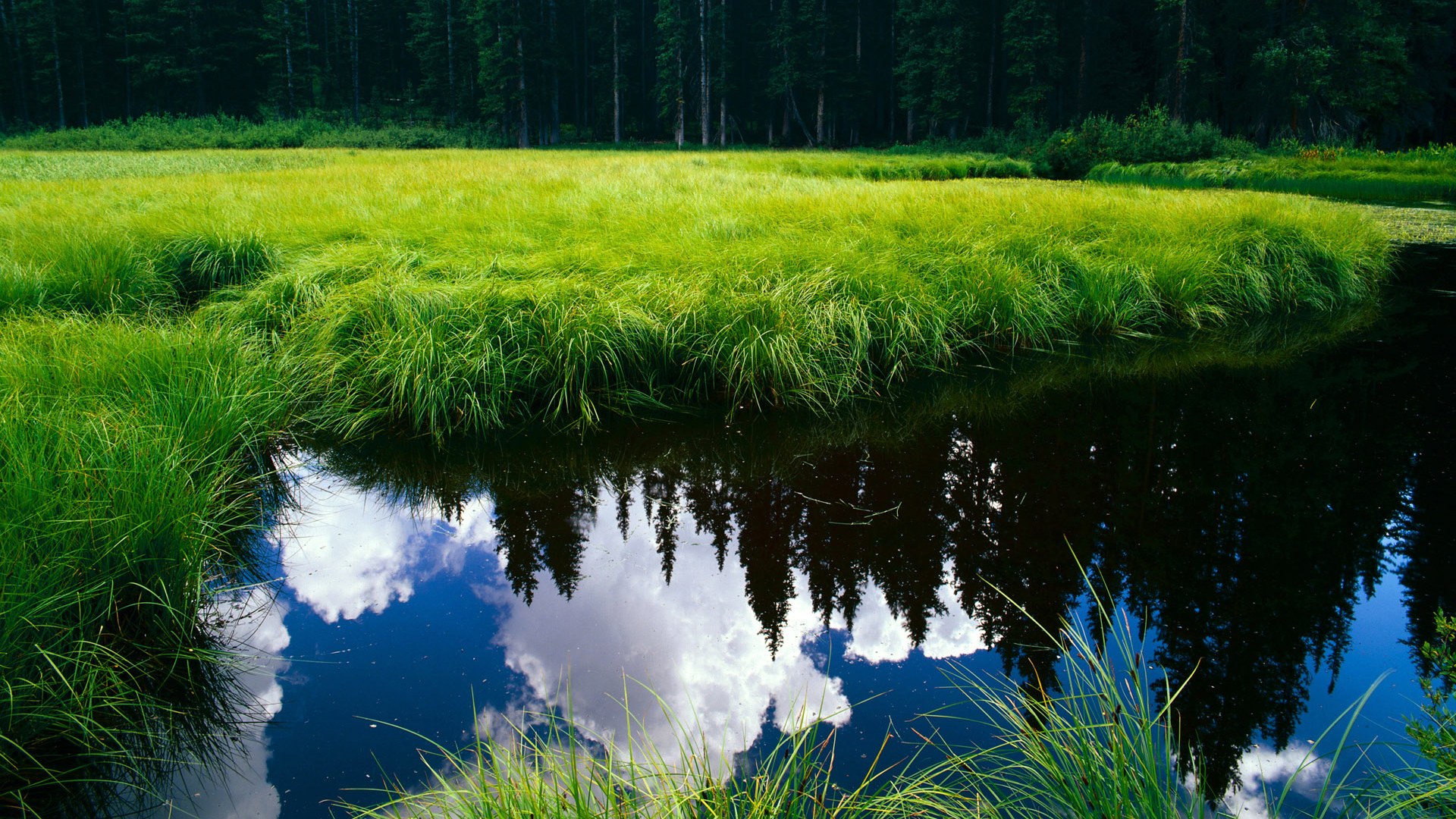 kaiyun-恩比德压哨绝杀七六人继续刷新纪录，恩比德带伤出战