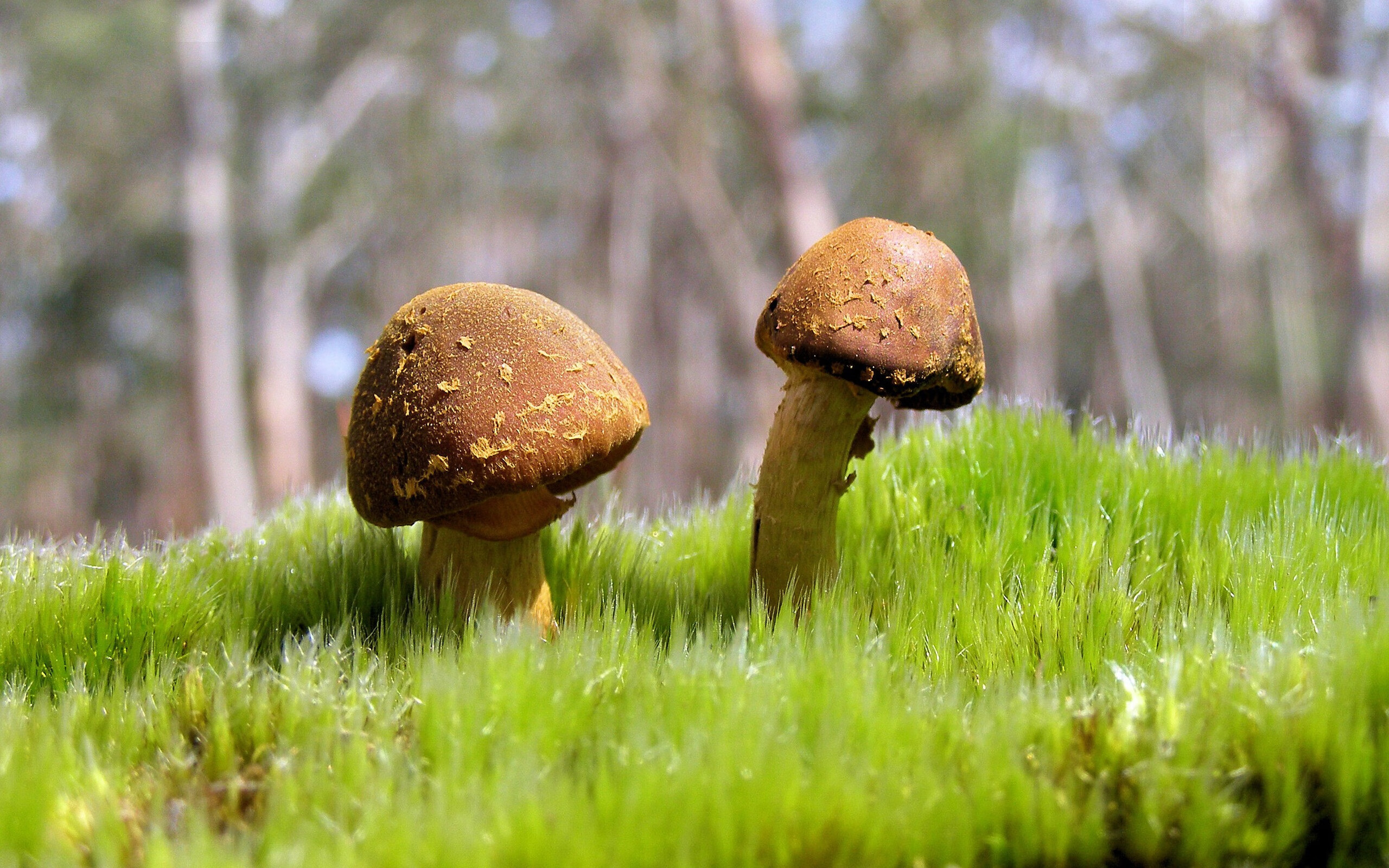 kaiyun sports app-快船球队会议讨论季后赛目标，快船季后赛战况