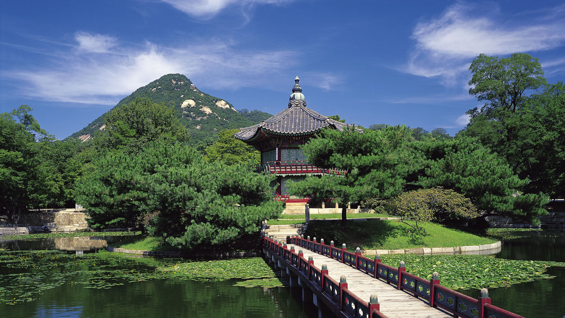 数字化青训体系实现流动管理，提升青少年发展效率，数字化体育训练