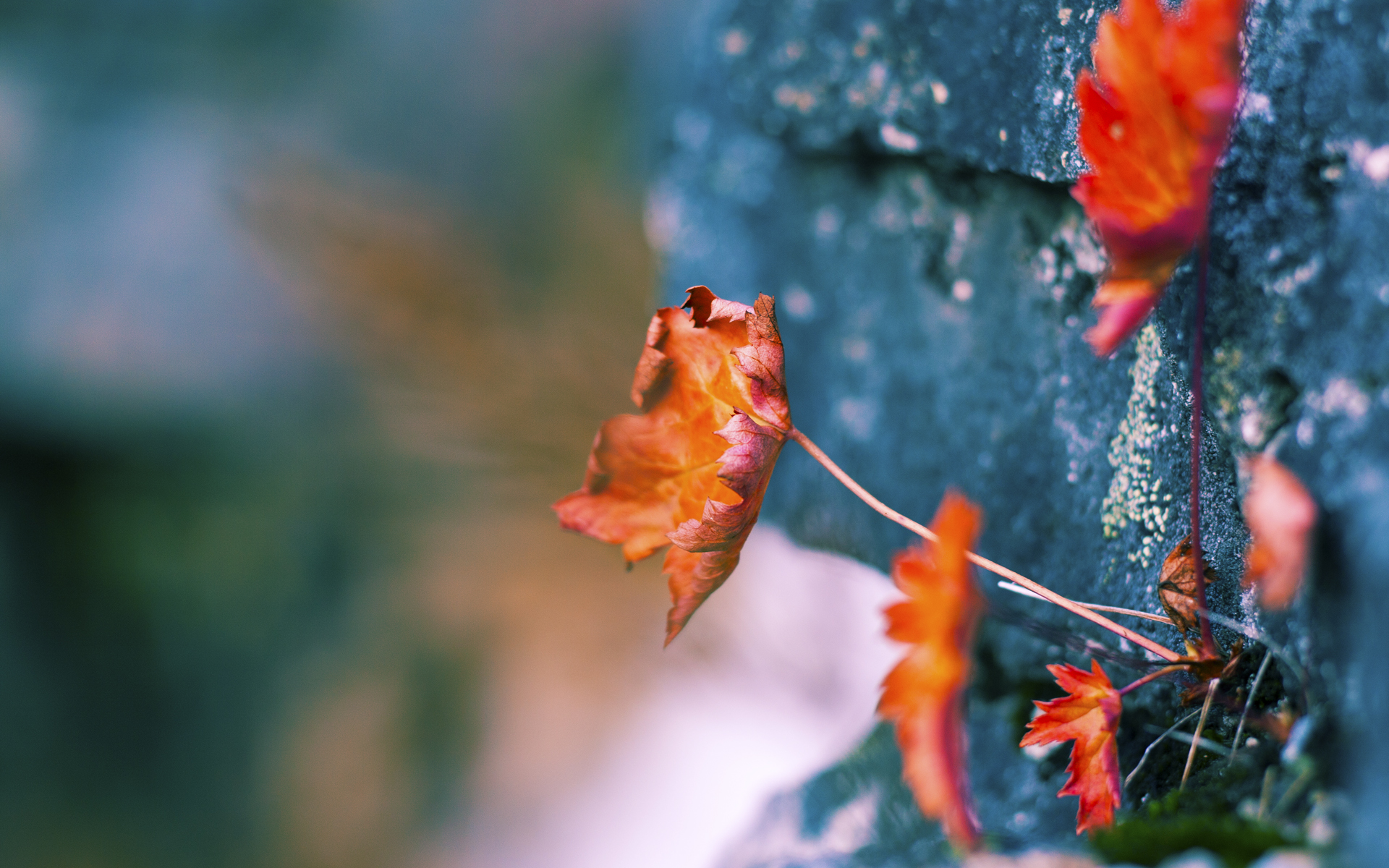 詹姆斯亲自参与战术板设计分析，詹姆斯站上技术台